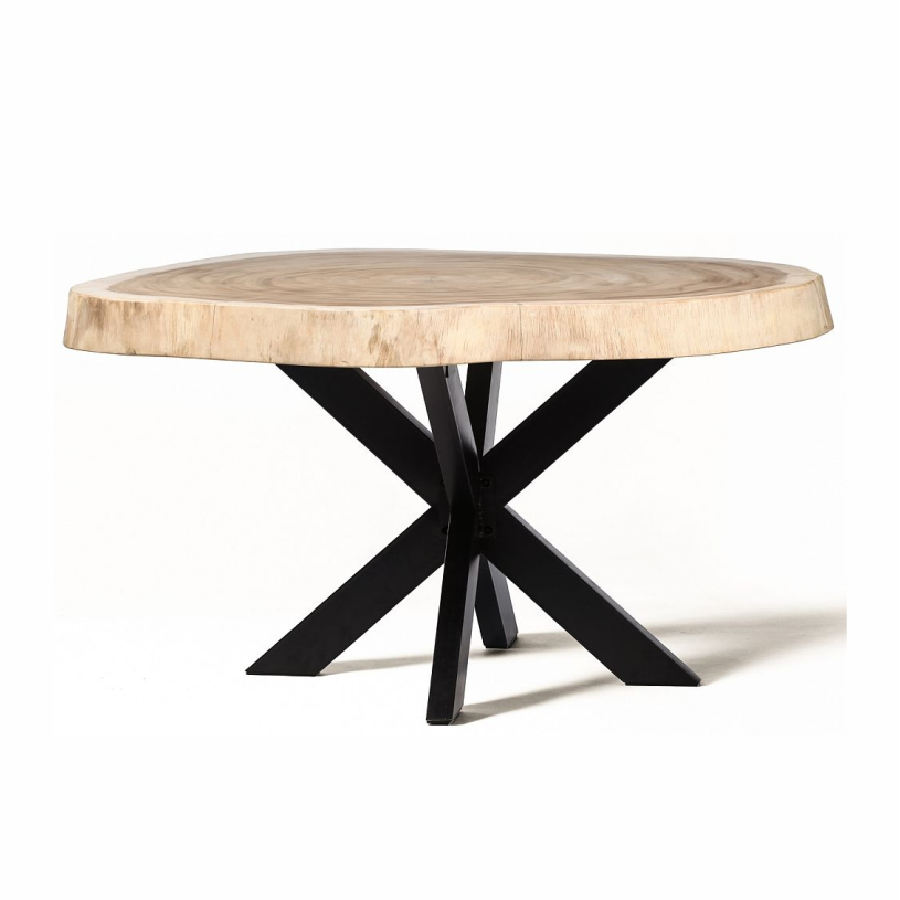 Master's Suar Wood Slice Table with Steel Support