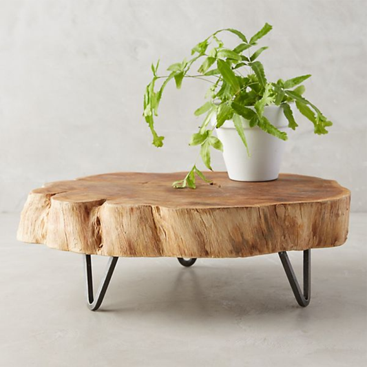 Teak Wood Trunk Slice Table with Steel Legs